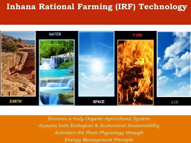 IRF Technology - IORF